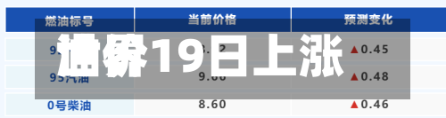 世界油价19日上涨