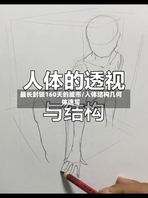 最长封锁160天的城市/人体结构几何体速写