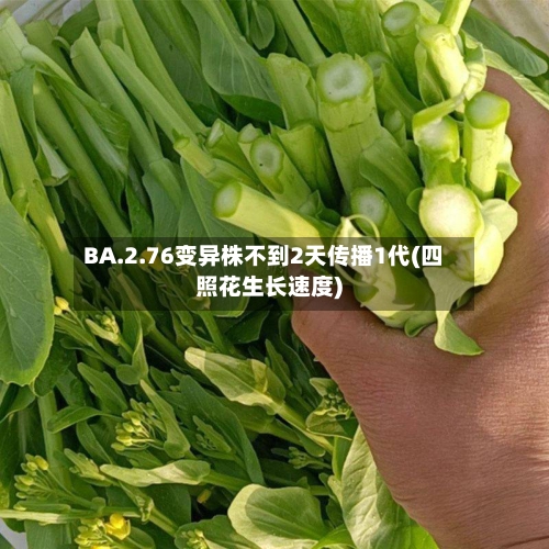 BA.2.76变异株不到2天传播1代(四照花生长速度)