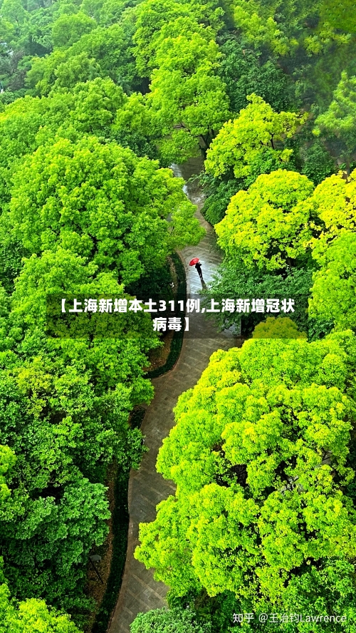 【上海新增本土311例,上海新增冠状病毒】