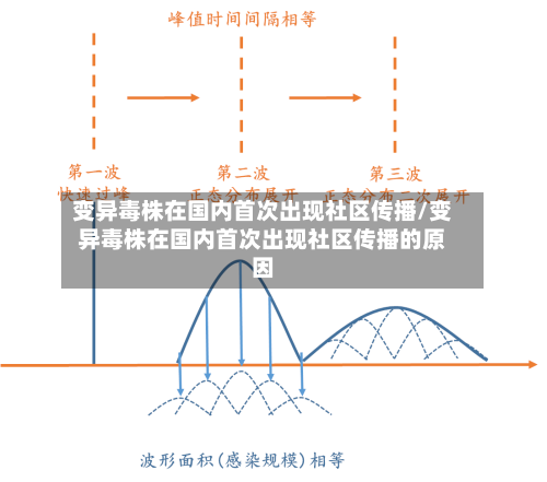 变异毒株在国内首次出现社区传播/变异毒株在国内首次出现社区传播的原因