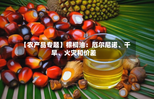 【农产品专题】棕榈油：厄尔尼诺	、干旱、火灾和价差-第3张图片