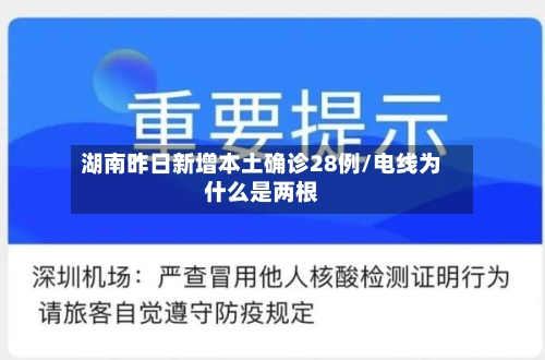 湖南昨日新增本土确诊28例/电线为什么是两根