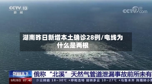 湖南昨日新增本土确诊28例/电线为什么是两根-第3张图片