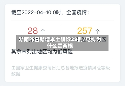 湖南昨日新增本土确诊28例/电线为什么是两根-第2张图片