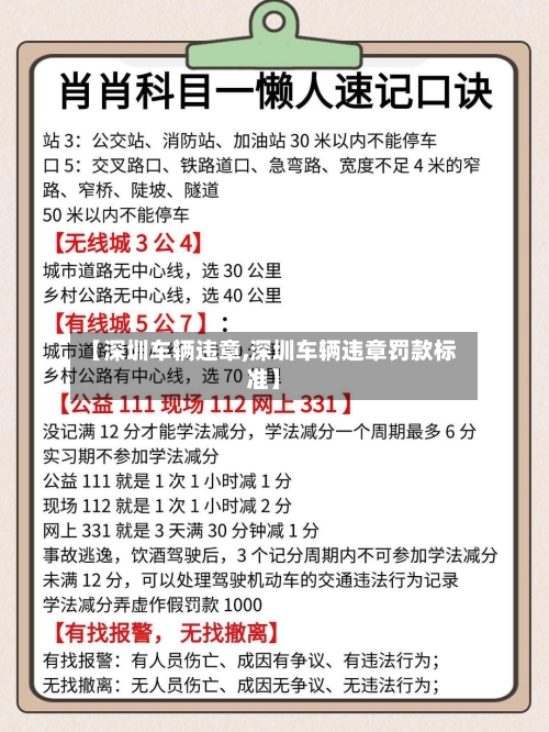 【深圳车辆违章,深圳车辆违章罚款标准】-第3张图片