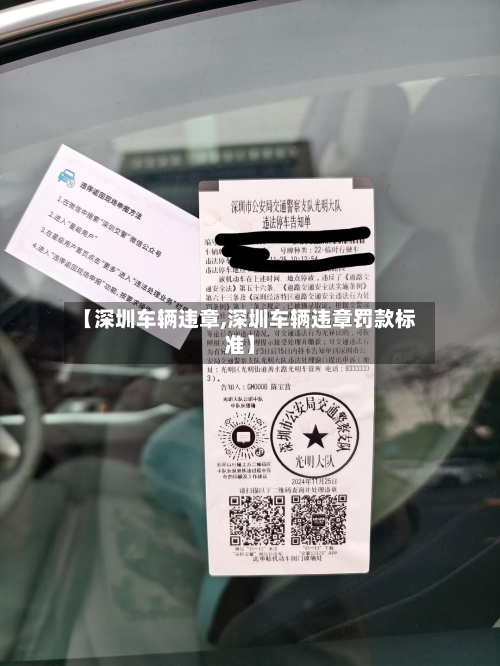 【深圳车辆违章,深圳车辆违章罚款标准】-第2张图片