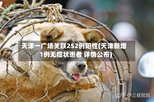 天津一广场关联252例阳性(天津新增1例无症状患者 详情公布)