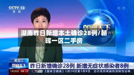 湖南昨日新增本土确诊28例/朝晖一区二手房-第3张图片