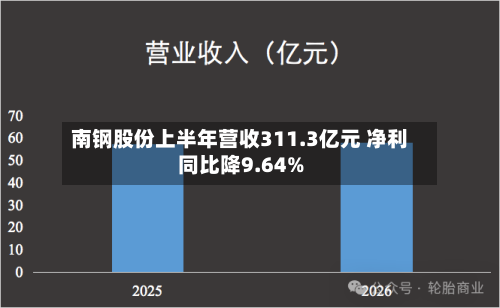 南钢股份上半年营收311.3亿元 净利同比降9.64%-第2张图片