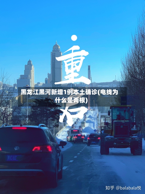 黑龙江黑河新增1例本土确诊(电线为什么是两根)-第2张图片