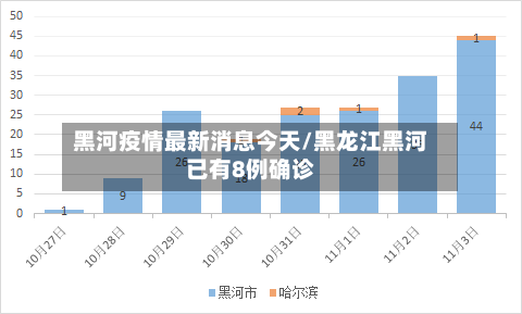 黑河疫情最新消息今天/黑龙江黑河已有8例确诊-第2张图片