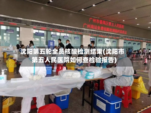 沈阳第五轮全员核酸检测结果(沈阳市第五人民医院如何查检验报告)-第3张图片