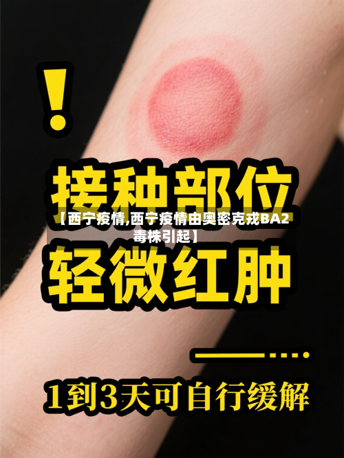 【西宁疫情,西宁疫情由奥密克戎BA2毒株引起】-第2张图片