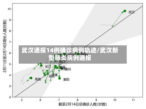 武汉通报14例确诊病例轨迹/武汉新型肺炎病例通报