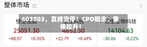 603803，直线涨停！CPO概念，集体拉升！-第2张图片