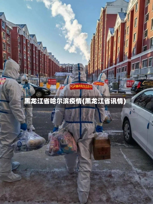 黑龙江省哈尔滨疫情(黑龙江省讯情)-第2张图片