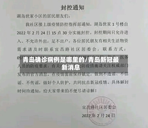 青岛确诊病例是哪里的/青岛新冠最新消息-第2张图片