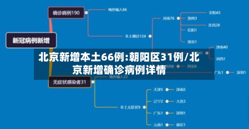北京新增本土66例:朝阳区31例/北京新增确诊病例详情