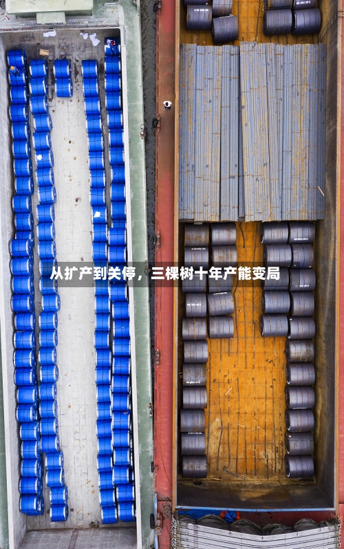 从扩产到关停，三棵树十年产能变局-第2张图片