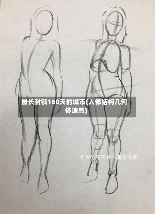 最长封锁160天的城市(人体结构几何体速写)-第2张图片
