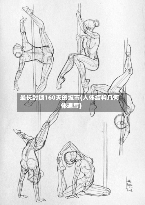 最长封锁160天的城市(人体结构几何体速写)-第3张图片