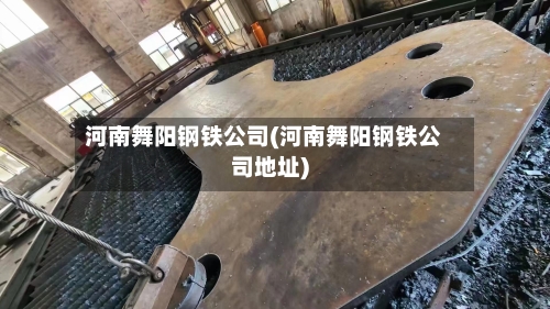 河南舞阳钢铁公司(河南舞阳钢铁公司地址)
