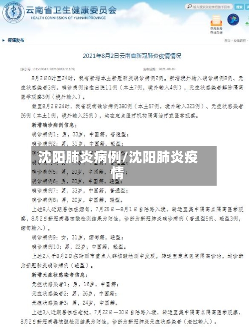 沈阳肺炎病例/沈阳肺炎疫情-第2张图片