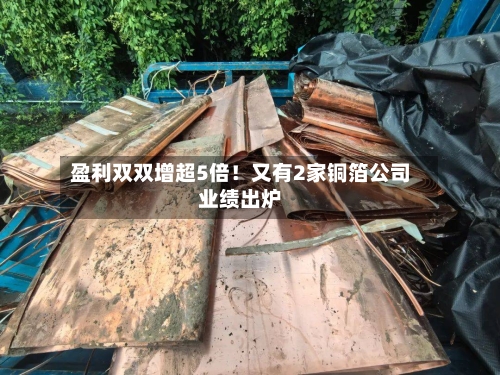盈利双双增超5倍！又有2家铜箔公司业绩出炉