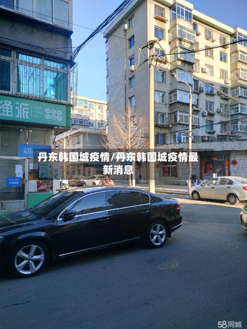 丹东韩国城疫情/丹东韩国城疫情最新消息-第3张图片