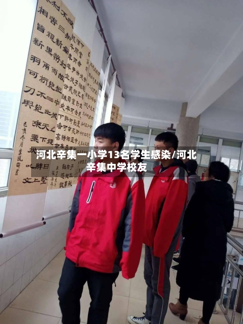 河北辛集一小学13名学生感染/河北辛集中学校友-第3张图片