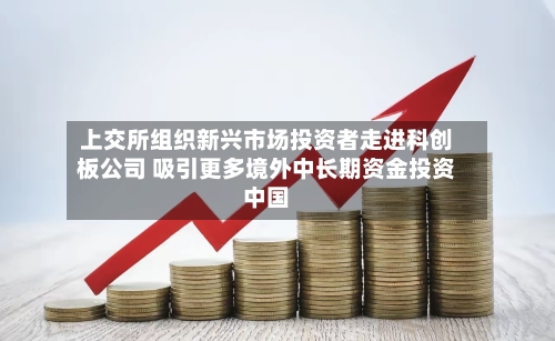 上交所组织新兴市场投资者走进科创板公司 吸引更多境外中长期资金投资中国-第2张图片