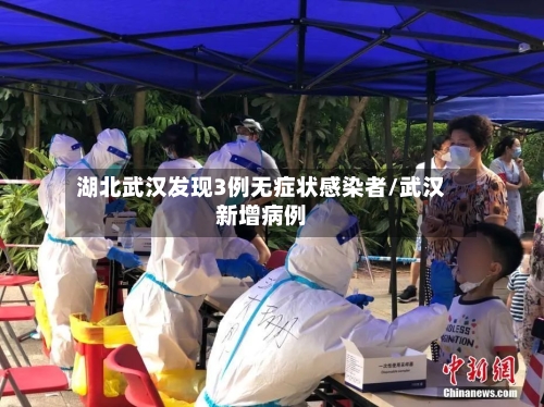 湖北武汉发现3例无症状感染者/武汉新增病例-第3张图片