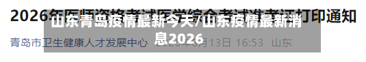 山东青岛疫情最新今天/山东疫情最新消息2026-第3张图片