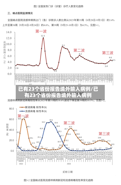 已有23个省份报告境外输入病例/已有23个省份报告境外输入病例