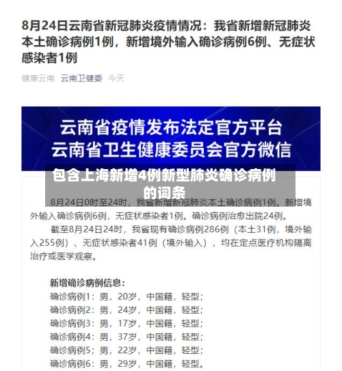 包含上海新增4例新型肺炎确诊病例的词条-第2张图片