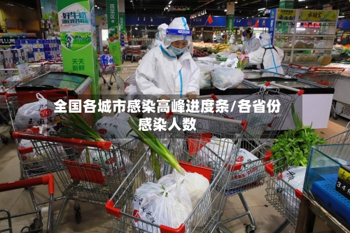 全国各城市感染高峰进度条/各省份感染人数-第2张图片
