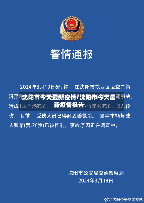 沈阳市今天最新疫情/沈阳市今天最新疫情报告-第3张图片