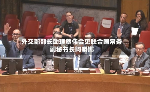 外交部部长助理蔡伟会见联合国常务副秘书长阿明娜-第2张图片