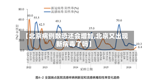 【北京病例数恐还会增加,北京又出现新病毒了吗】-第2张图片
