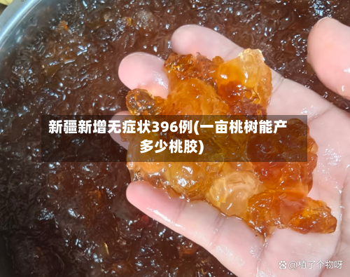新疆新增无症状396例(一亩桃树能产多少桃胶)