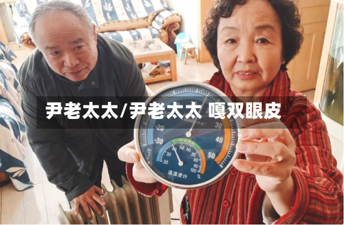 尹老太太/尹老太太 嘎双眼皮