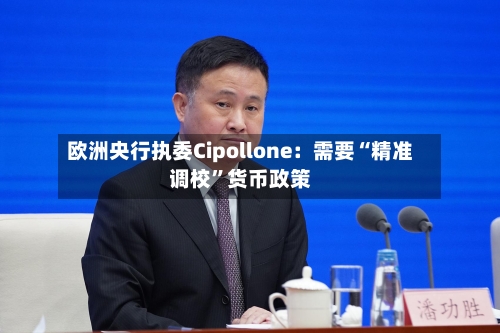 欧洲央行执委Cipollone：需要“精准调校”货币政策