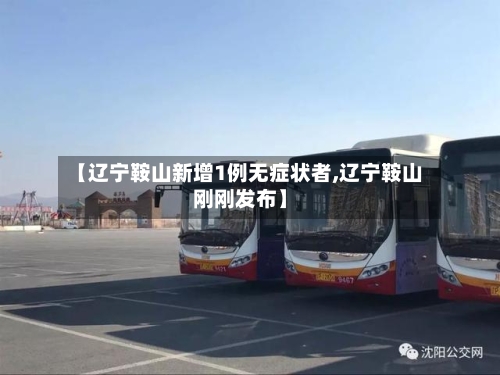 【辽宁鞍山新增1例无症状者,辽宁鞍山刚刚发布】