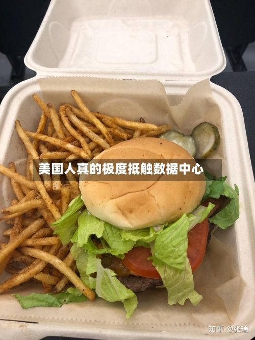 美国人真的极度抵触数据中心-第3张图片