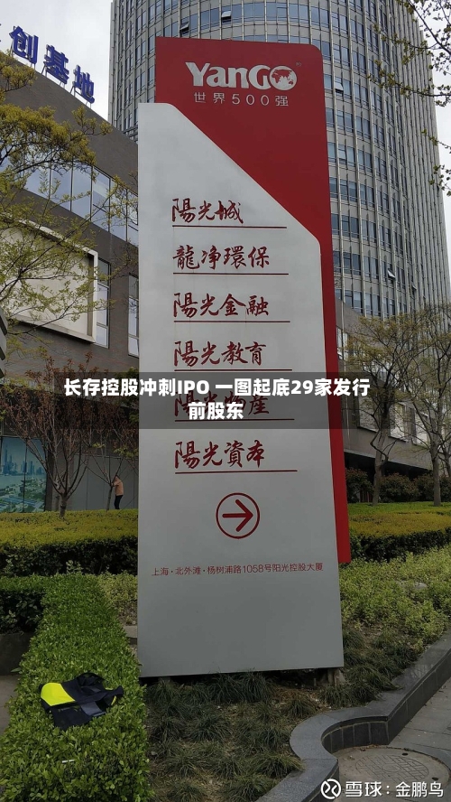 长存控股冲刺IPO 一图起底29家发行前股东