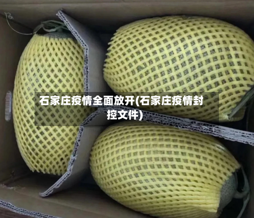 石家庄疫情全面放开(石家庄疫情封控文件)