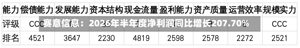 赛意信息：2026年半年度净利润同比增长207.70%-第2张图片