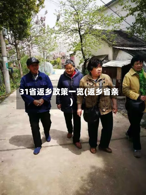 31省返乡政策一览(返乡省亲)-第2张图片