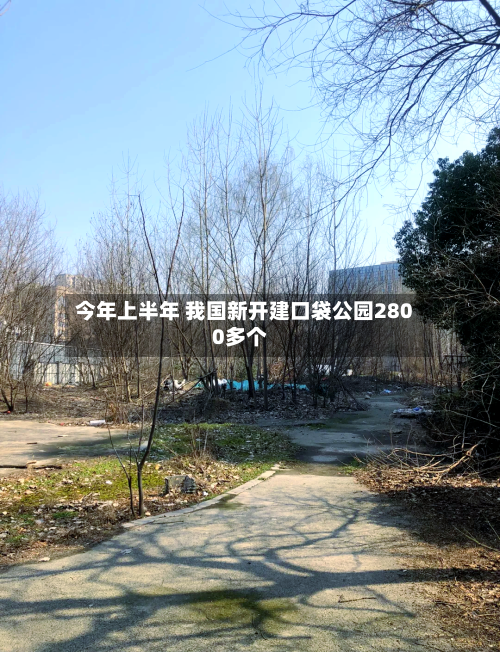 今年上半年 我国新开建口袋公园2800多个-第2张图片